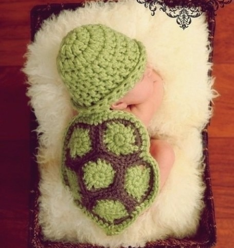 Just a baby turtle 